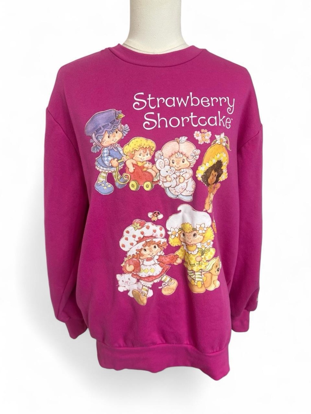 Strawberry Shortcake pink graphic crewneck sweatshirt y2k cartoon comfy cute